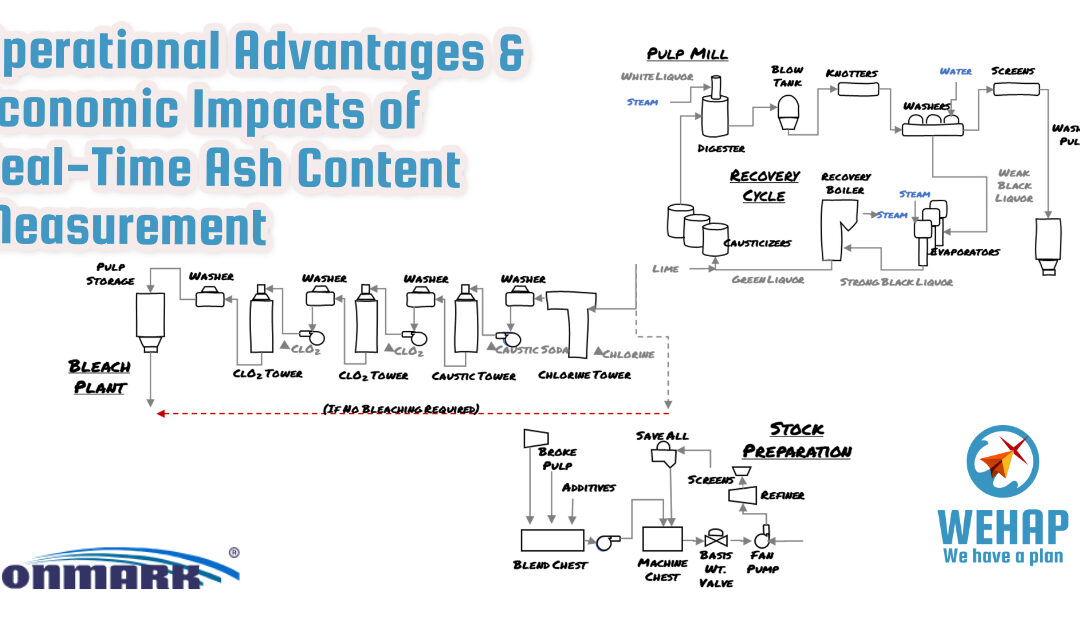 Operational Advantages & Economic Impacts of Continuous Ash Content Measurement