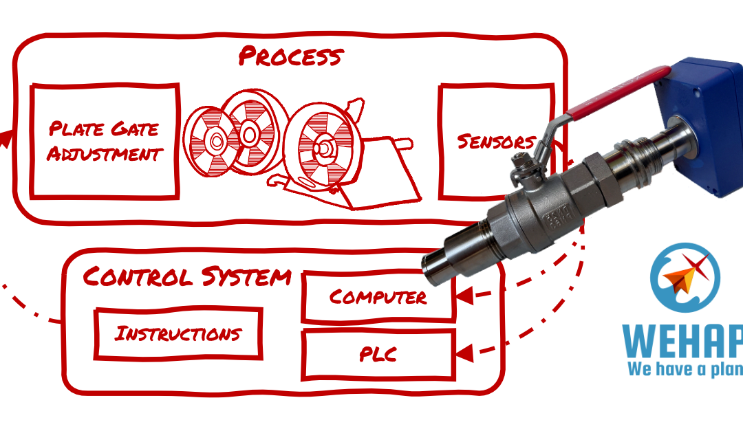 Navigating Pulp Variability with WeHAP for Continuous Freeness Monitoring